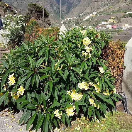 Gomera Garden. Vista Mar Altozano Villa Hermigua